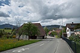 Flumenthal05.jpg