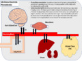 General Anesthesia WIKI - Figure