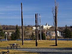 Granby-Totems Parc D-Johnson