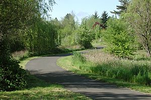 Greenway Trail section