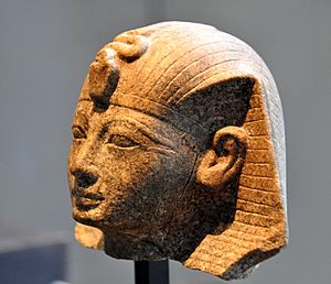 Head of Amenhotep II. 18th Dynasty, c. 1420 BC. 18th Dynasty. State Museum of Egyptian Art, Munich