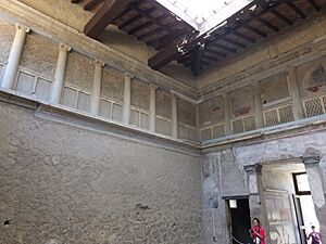 Herculaneum — Samnite House (14732660248)