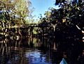 Hillsboro River