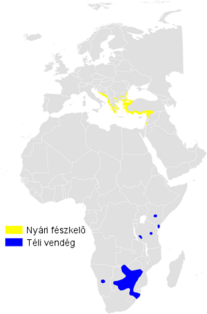 Hippolais olivetorum distribution map.png