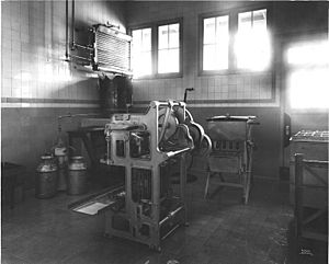 Hollywood Farm, interior of milk bottling department (CURTIS 34)
