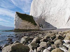 Horseshoe Bay (Culver Cliff), Isle of Wight, UK.jpg