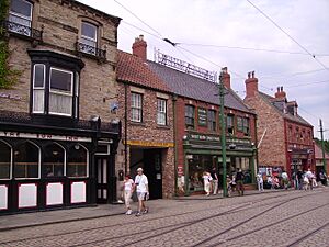 Houses in the Beamish Museum 03