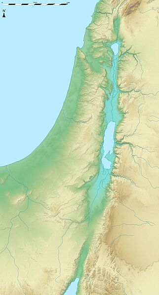 Israel relief location map-blank