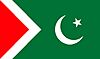 Istehkam-e-Pakistan flag.jpg