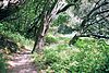 Junipero Serra County Park 01 (7387783278).jpg