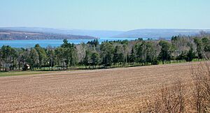 LakeSkanfromW700