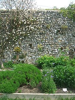 Lewes Priory herb garden