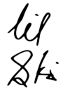Lil Skies sig.svg