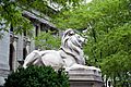 Lion sculpture, New York Public Library, New York, NY 07422u original