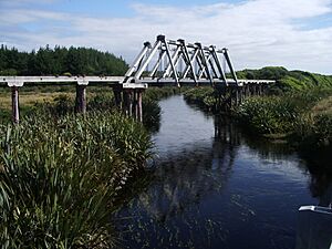 MahinapuaBridge