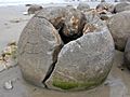 Moeraki-boulder-split b
