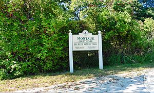 Montauk-County-Park-Nature-trail2017