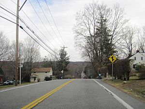Bellvale from NY 17A