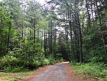 Nepaug State Forest - "Tunxis Trail" Dirt Road Main Entrance Off CT-202