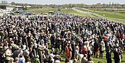 Newbury Racecourse, crowd