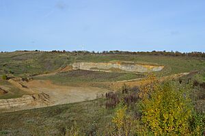 Nine Acres Pit 5