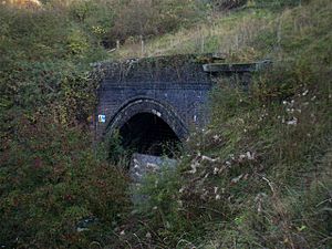 Old Warden Tunnel - geograph.org.uk - 275715