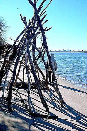 Palmyra Nature Cove Driftwood October 2008