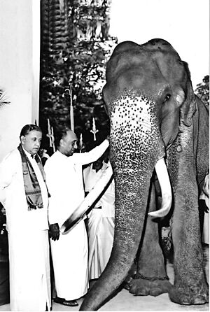 Photograph of Raja (elephant) with Hon J.R Jayewardene & Dr. Nissanka Wijeyeratne