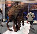 Picture of Lyuba taken on 3rd May 2012 at the IFC Mall Hong Kong
