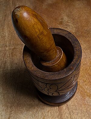 Pilon para mofongo 2011