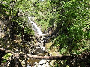 Pistyll Cain Waterfall - panoramio