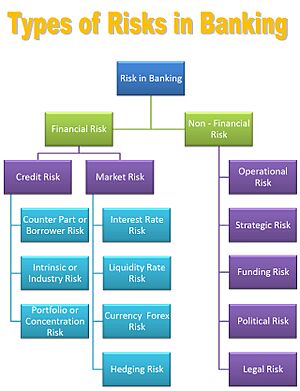 Risk in Banking