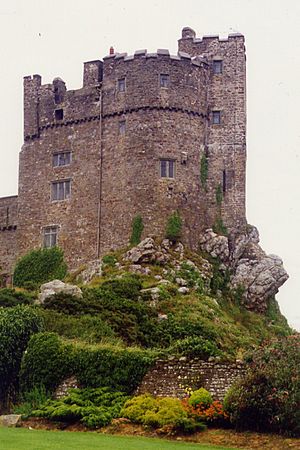 Roch Castle-4595482-by-Chris-Andrews.jpg