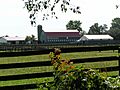 Rosebud Farm (6)