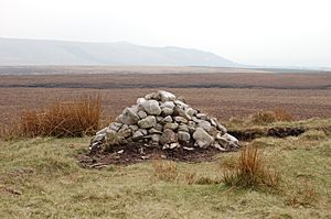a large pile of stones in a grassy area with a large hill looming in the background