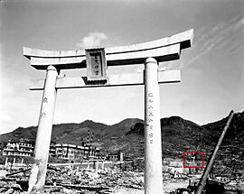 Sanno torii boxed in red