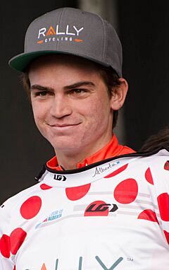 SeppKuss2017TOA