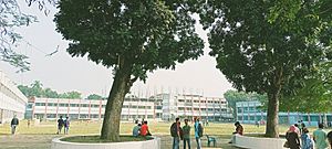 Shahzadpur Government College