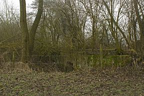 Small Canal Viaduct - geograph.org.uk - 1121796.jpg