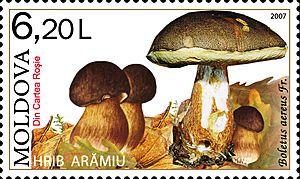 Stamp of Moldova 014