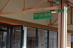 Tall Grass Arts Association, Park Forest, IL