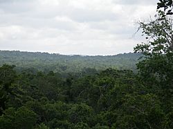 Temple 4 at Tikal from El Diablo at El Zotz