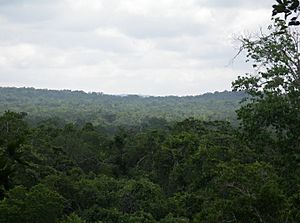 Temple 4 at Tikal from El Diablo at El Zotz.JPG