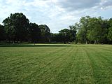 The lawn, Anderson Park, New Jersey (2006)