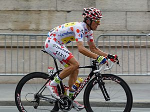 Tour de France, Paris 27 July 2014 (57) (cropped)