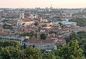 Vilnius view