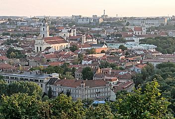 Vilnius view