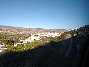 View of Instinción