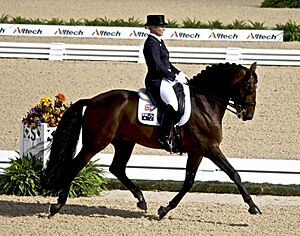 WEG 2010 - Dressage Qualifying