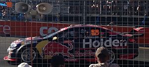 Whincup Newcastle 2017 (cropped)